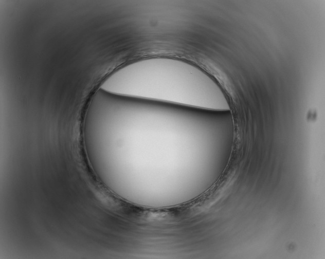 X0000103320401200809051004