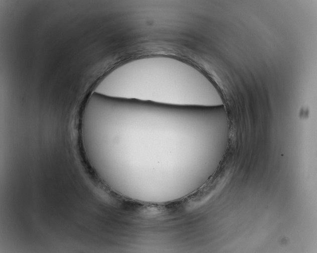 X0000103320402200809051004