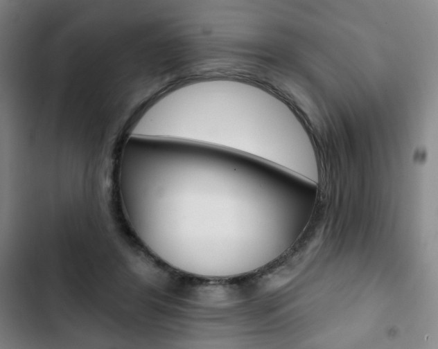 X0000103320404200809051004