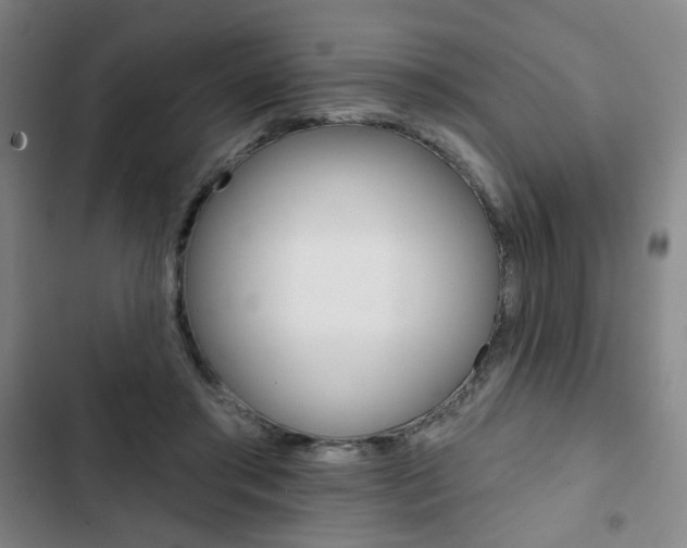 X0000103320405200809051003