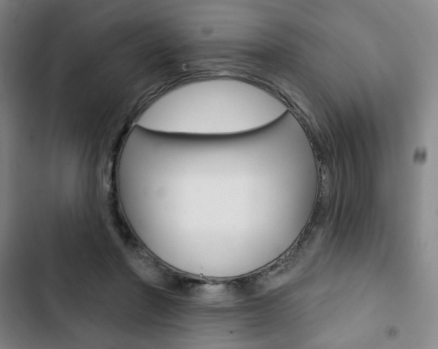 X0000103320406200809051003