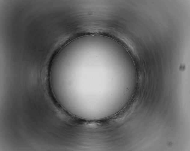 X0000103320407200809051003