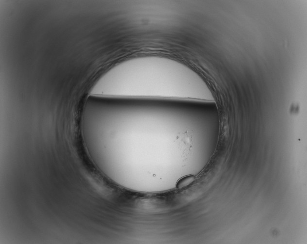 X0000103320408200809051003