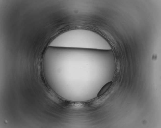 X0000103320409200809051003