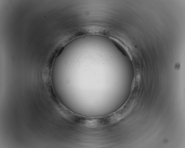 X0000103320411200809051003