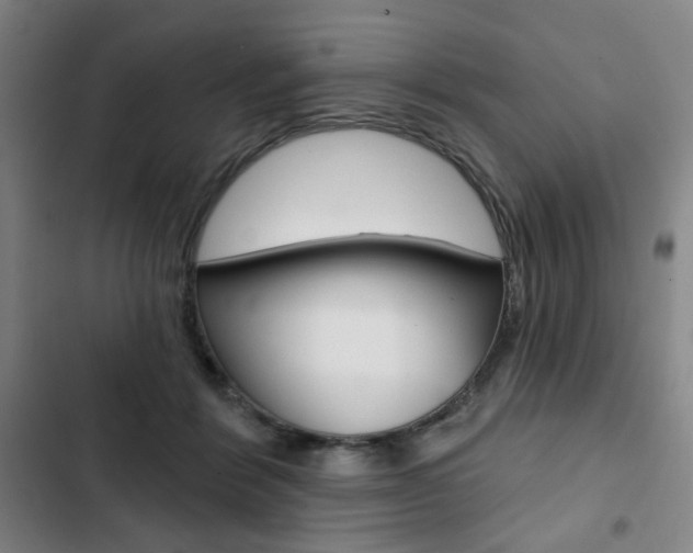 X0000103320412200809051003