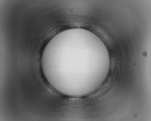 X0000103320414200809051003