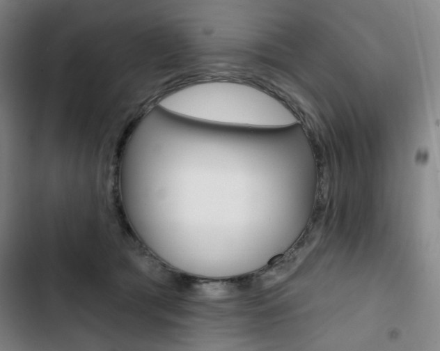 X0000103320417200809051003