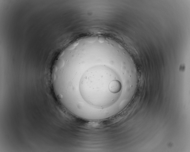 X0000103320418200809051003