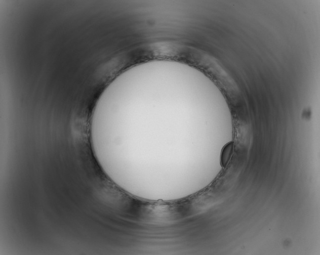 X0000103320419200809051003