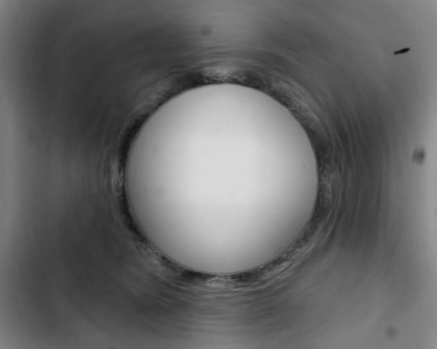 X0000103320420200809051003