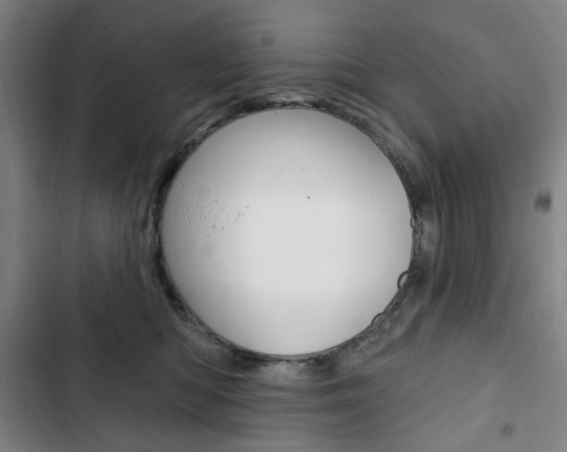 X0000103320422200809051003