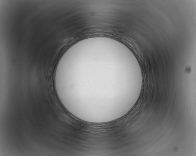 X0000103320423200809051003