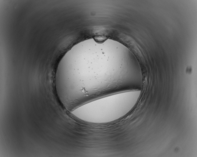 X0000103320424200809051003