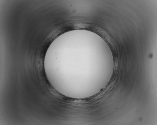 X0000103320426200809051003