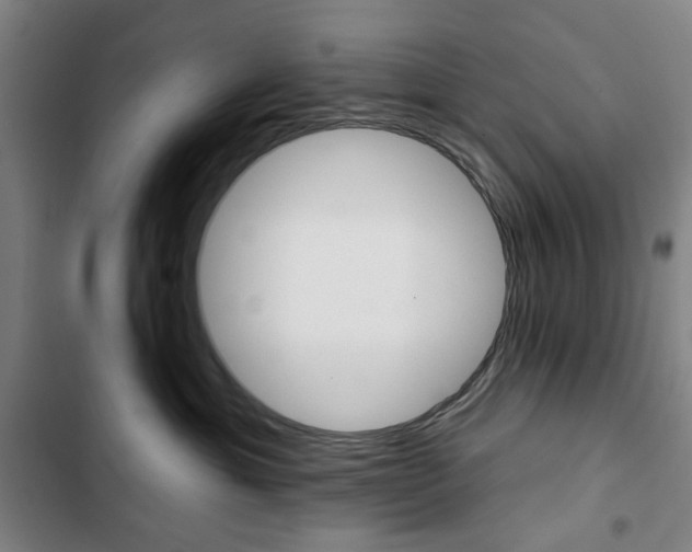 X0000103320429200809051003