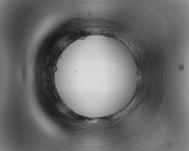 X0000103320430200809051003