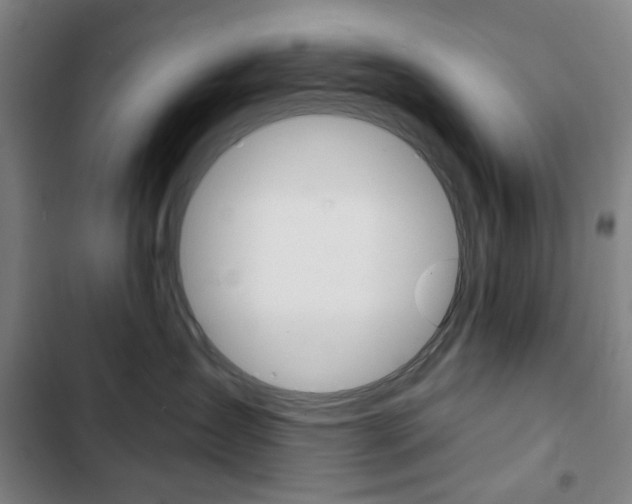 X0000103320431200809051003