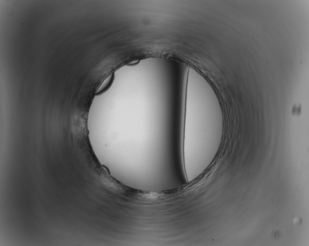 X0000103320432200809051003