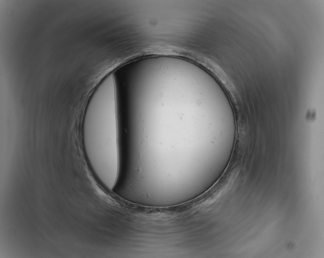 X0000103320433200809051002