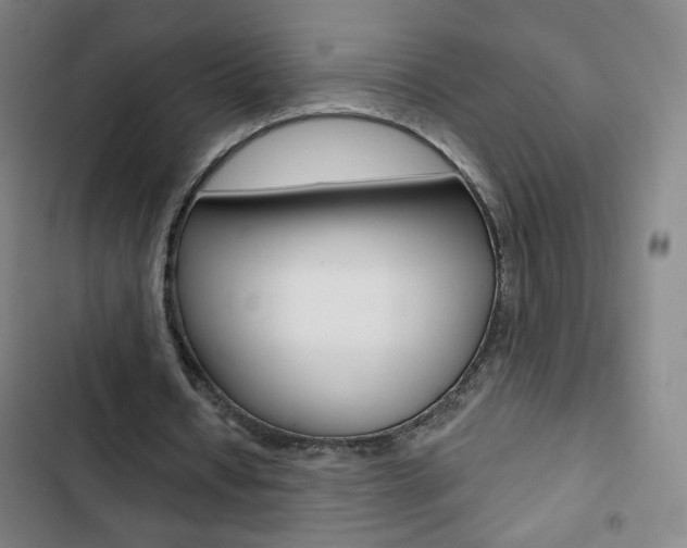 X0000103320434200809051002