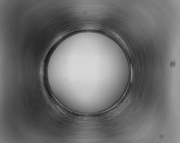 X0000103320435200809051002