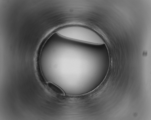 X0000103320436200809051003