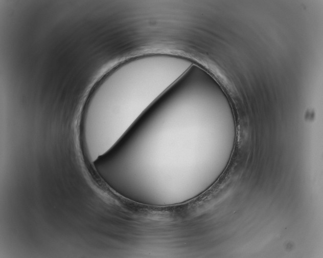 X0000103320438200809051003