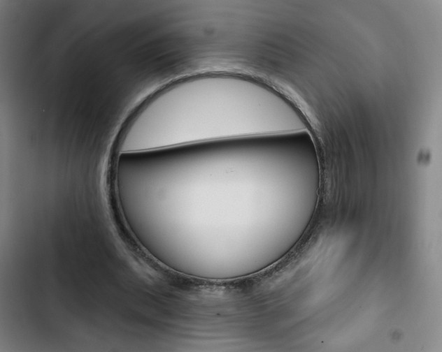 X0000103320439200809051003