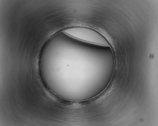 X0000103320441200809051003