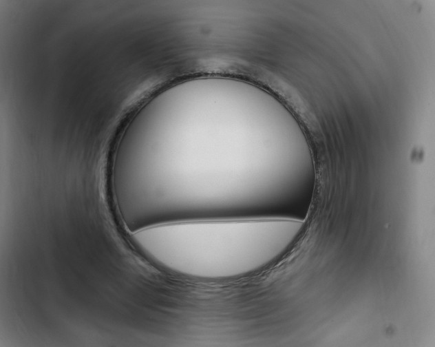 X0000103320442200809051003