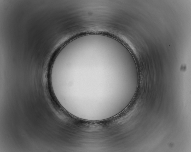 X0000103320443200809051003