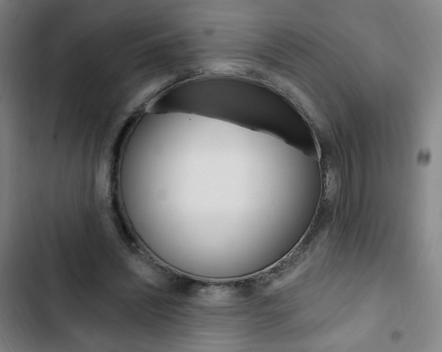 X0000103320444200809051003