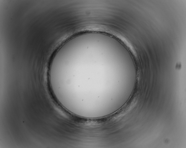 X0000103320445200809051003