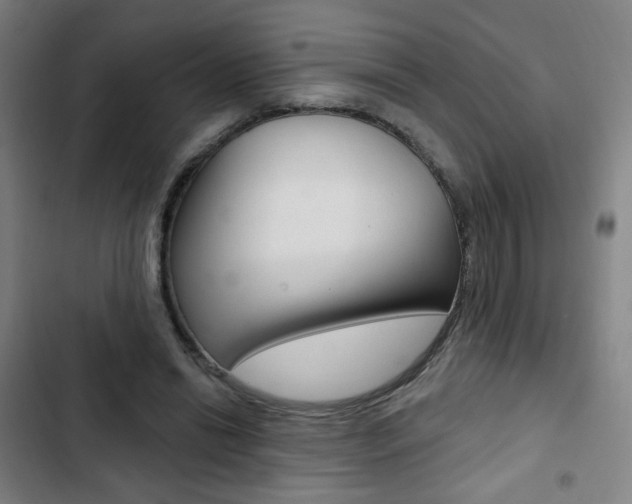 X0000103320446200809051003