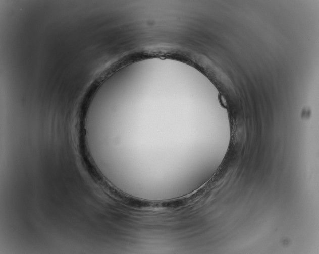 X0000103320448200809051003