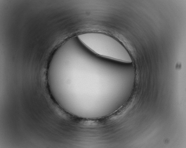 X0000103320449200809051003