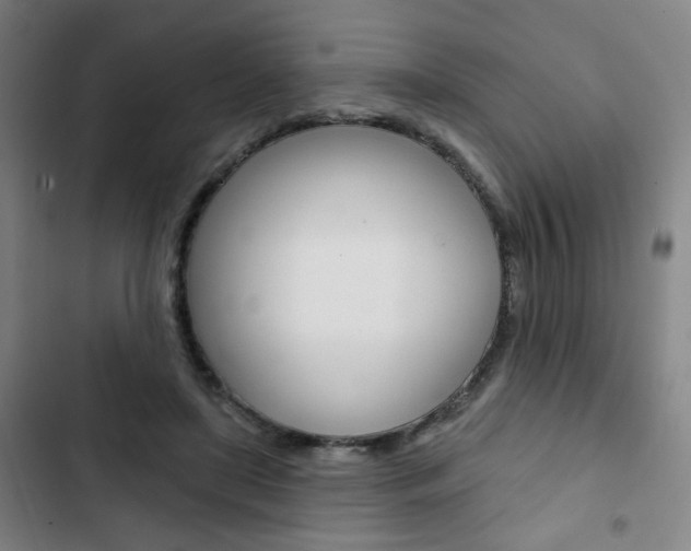 X0000103320451200809051003
