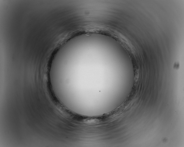 X0000103320452200809051003