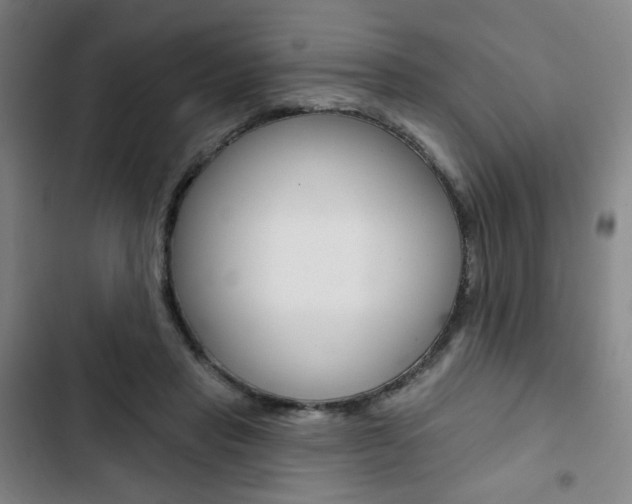 X0000103320453200809051003