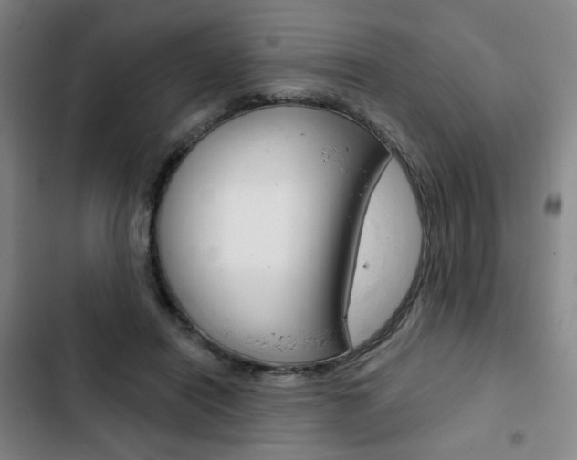 X0000103320454200809051003