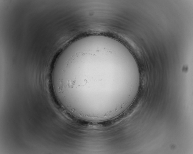 X0000103320455200809051003