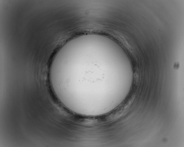 X0000103320458200809051003