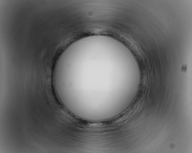 X0000103320461200809051003