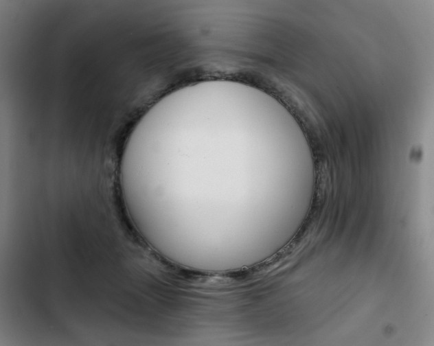 X0000103320463200809051003