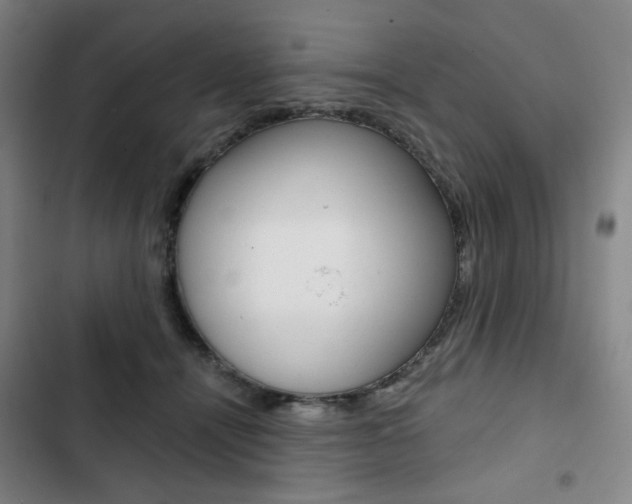 X0000103320464200809051003