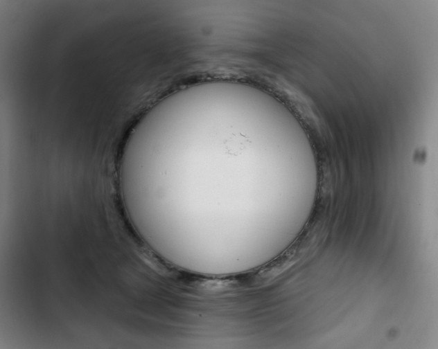 X0000103320465200809051003