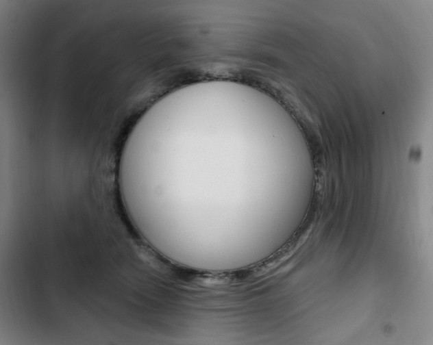 X0000103320466200809051003
