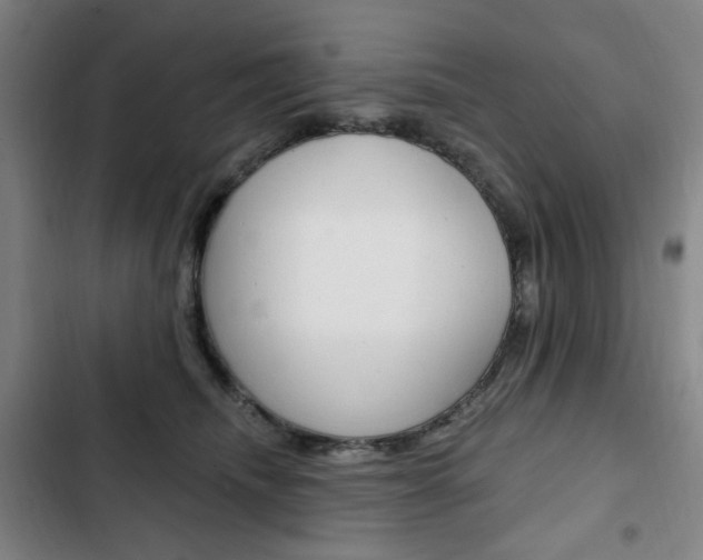 X0000103320468200809051003
