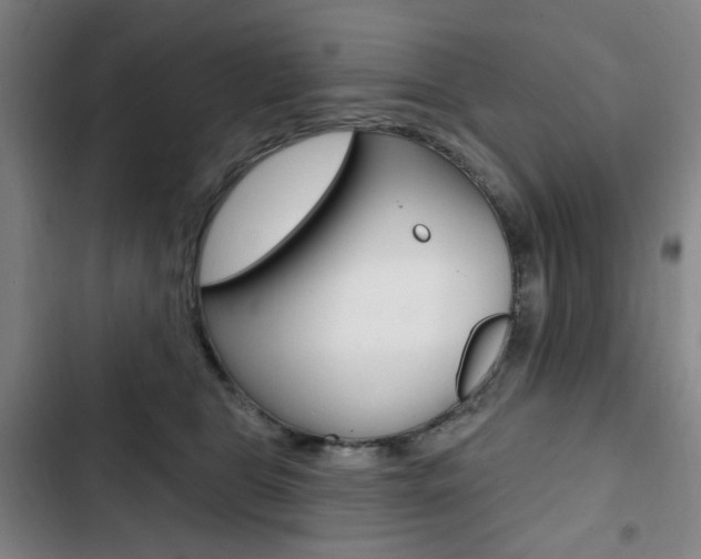 X0000103320469200809051003